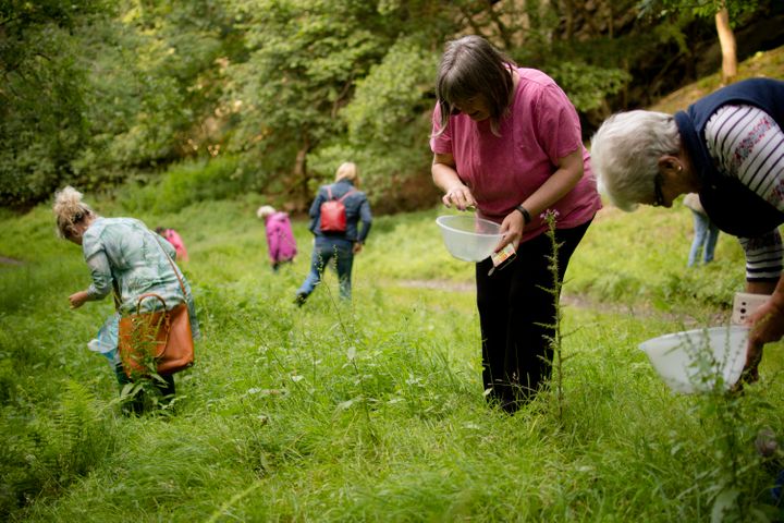 Wild Food Wild Food